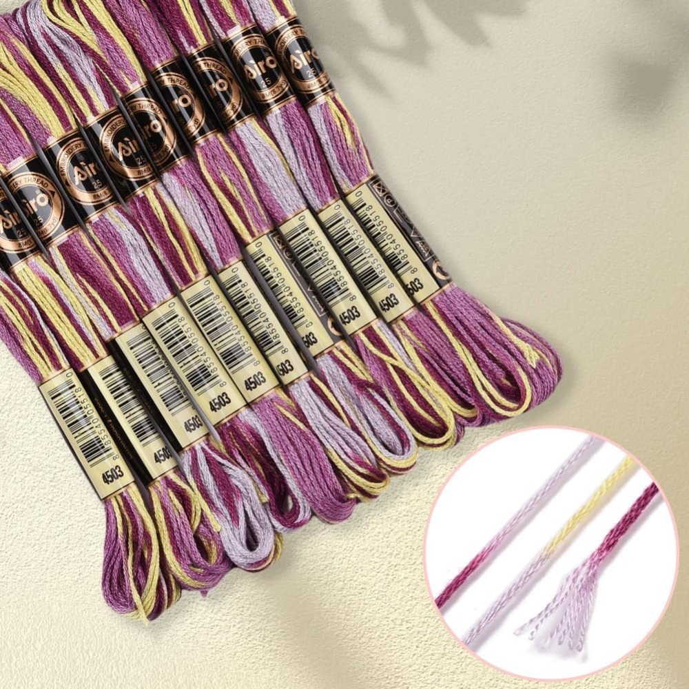 6 Strands Purple Variegated Em - Embroidery Thread avis et prix