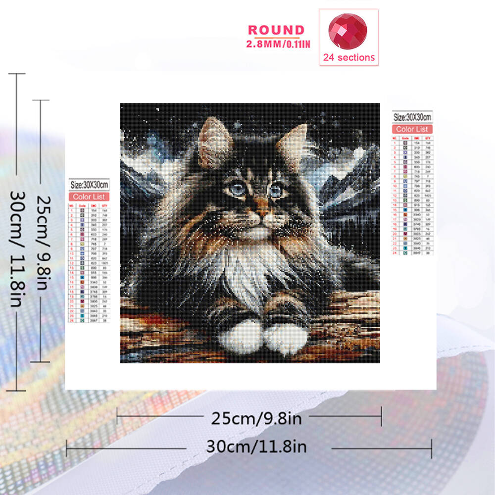 1pc frameless  5D DIY Diamond  - Embroidery Artwork avis et prix