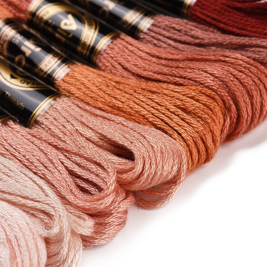 1Set 8 Skeins 0.5mm 6-Ply Poly - Embroidery Thread avis et prix